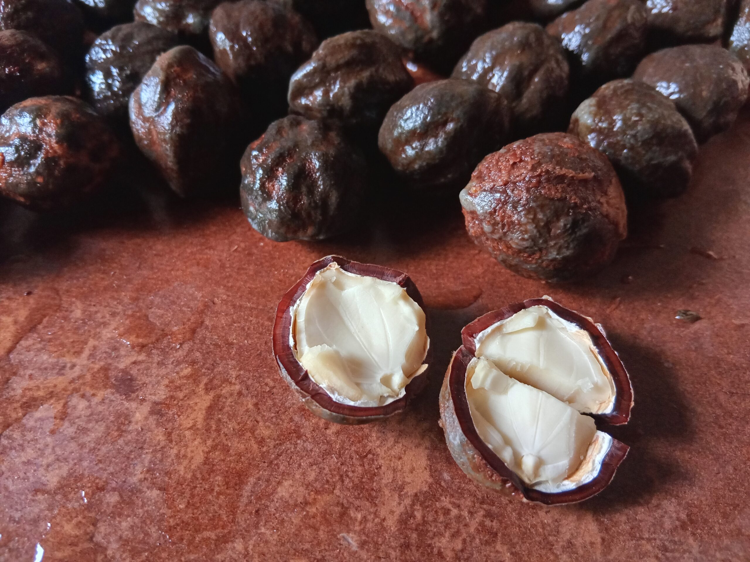 A close-up of whole and shelled macadamia nuts scattered on a white background, showcasing their creamy texture and light brown shells.