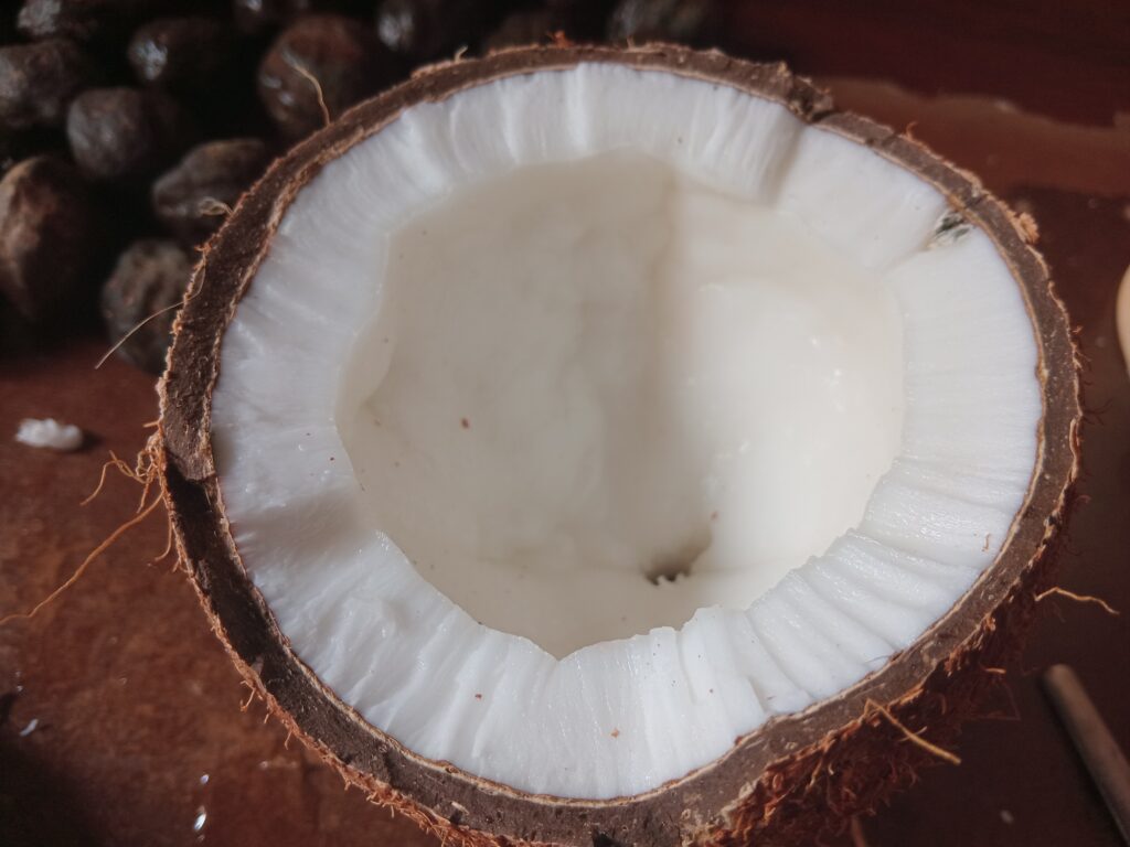 A single whole coconut with a brown, hairy husk, placed against a plain white background.